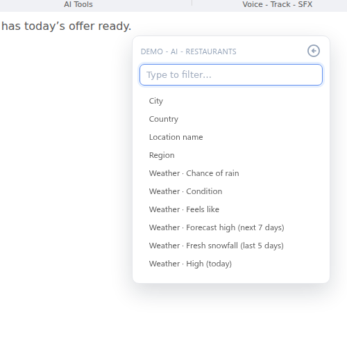 POI token options including city, country, location name, region and weather